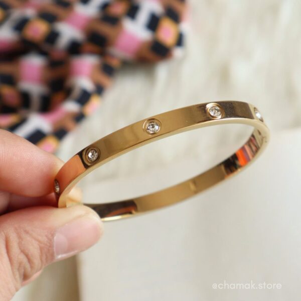 Cartier Love Stainless Steel Gold Bracelet