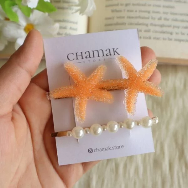 Set Of 2 Hair Clips-Orange Starfish