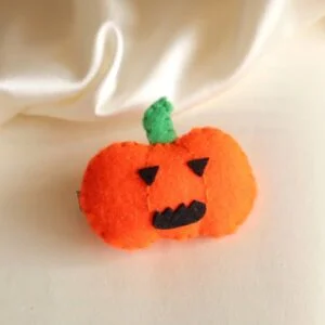 Pumpkin Hair Clip