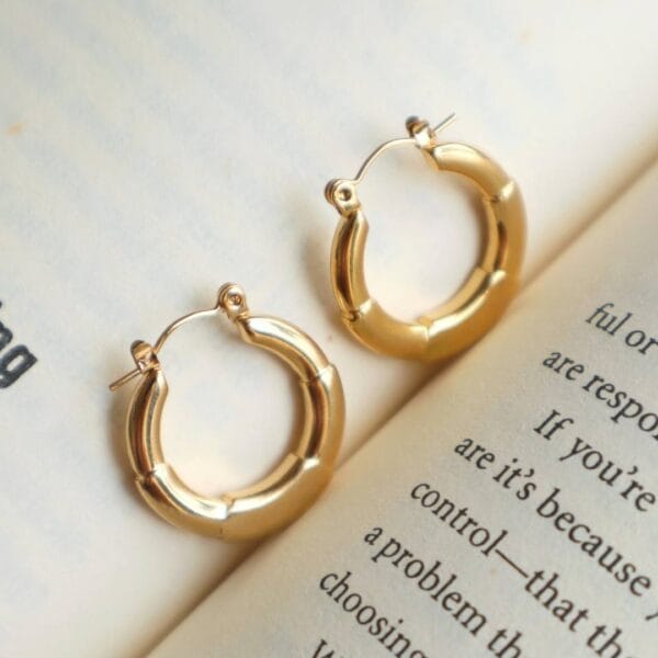 Stainless Steel Round Hoop Earrings ( Anti-Tarnish )