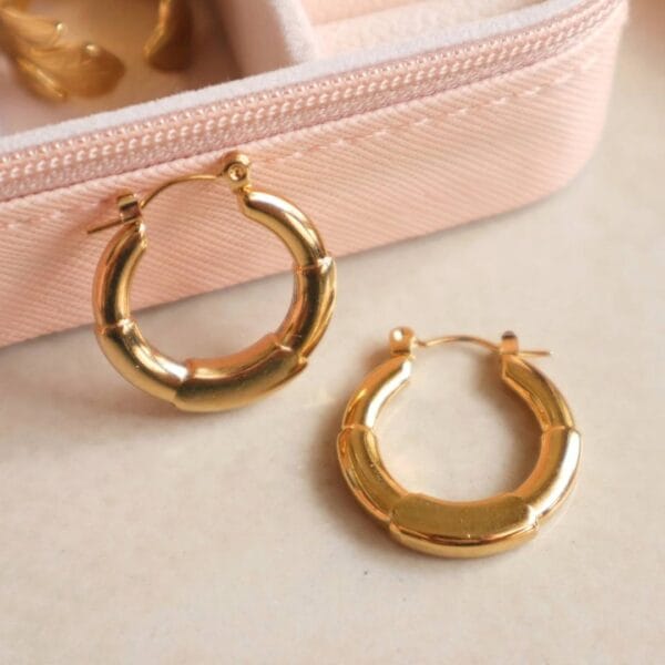 Stainless Steel Round Hoop Earrings ( Anti-Tarnish )