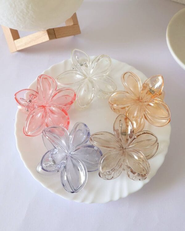 Transparent Flower Claw Clips