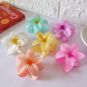 Ombre Flower Claw Clips (Large)