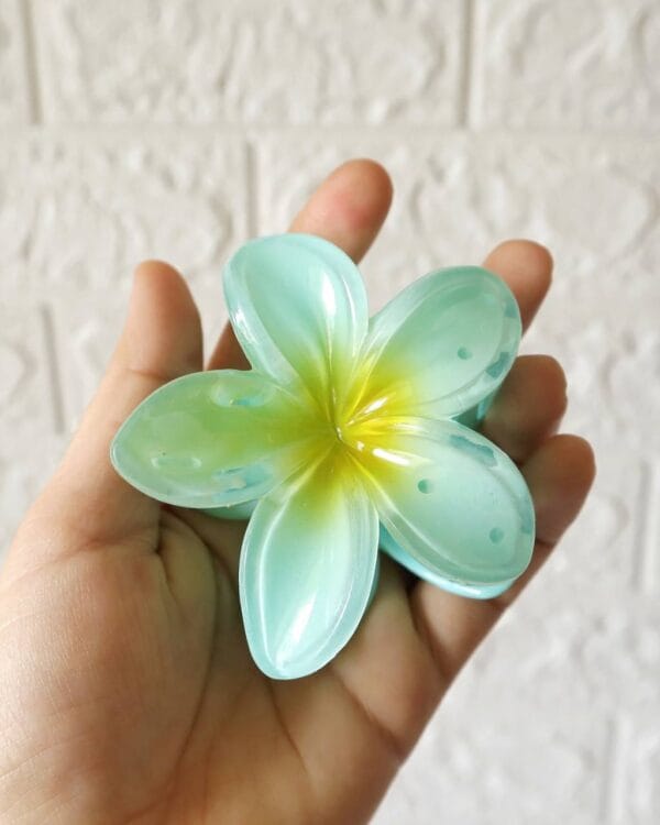 Ombre Flower Claw Clips (Large)