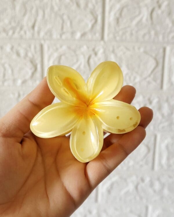 Ombre Flower Claw Clips (Large)
